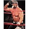 Image 1 : WWF Hulk Hogan signed photo