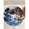 Image 4 : Plate Collection (8 pieces)