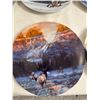 Image 7 : Plate Collection (8 pieces)