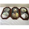 Image 1 : Display Frames with Collector Plates