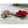 Image 4 : Decorative Roses