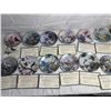 Image 1 : Lena Liu - Nature's Poetry Series Plate Collection