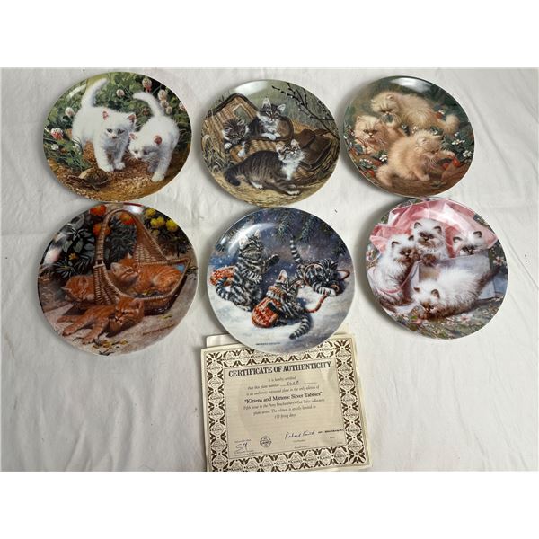 Amy Brackenbury's Cat Tales Collection