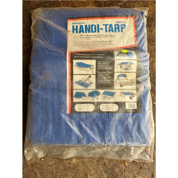 Tarp