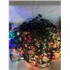 Image 2 : Christmas Lights