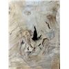 Image 3 : Live Edge Wood Panel
