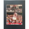 Image 1 : Michael Jordan unsigned photo