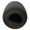Image 2 : Mic Foam