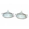 Image 1 : Set of 2 heavy-duty serving China Garden Prestige serving dishes