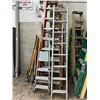 Image 1 : Alum. Ext. Ladder