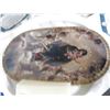 Image 3 : Millennium/Religious/Other Collector Plates w/COA's