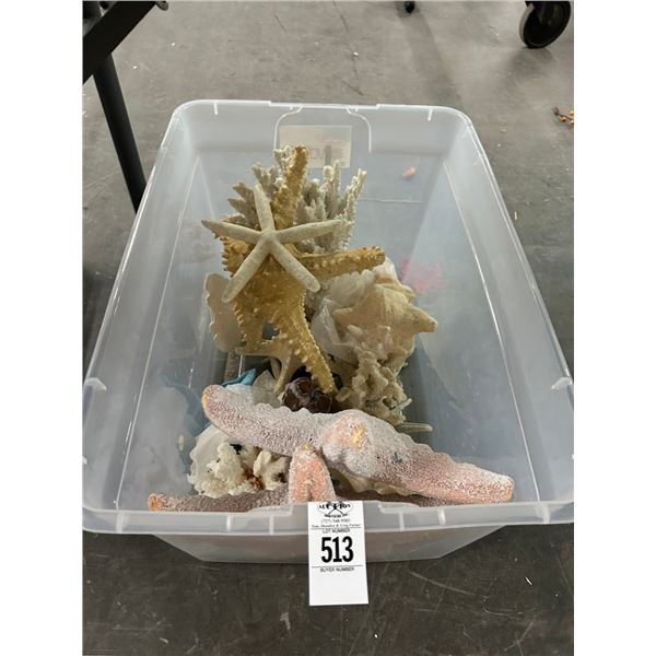 Coral/Starfish/Shell Décor
