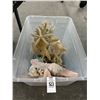 Image 1 : Coral/Starfish/Shell Décor