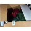 Image 2 : Christmas Pointsiettas Décor - 2 Boxes