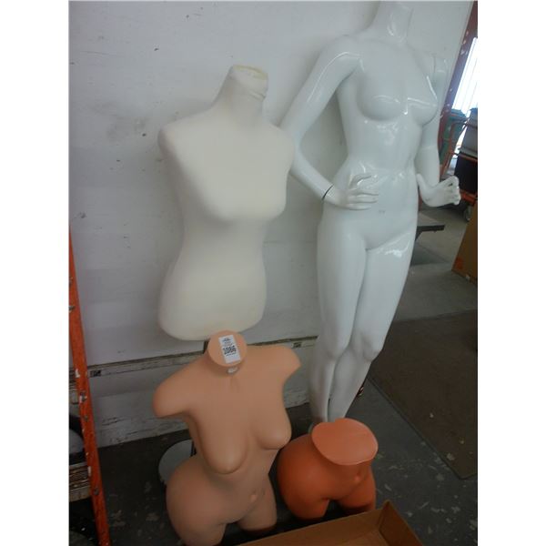 Manequin/Busts - 4 Pc.