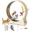 Image 1 : NEW W BOX MIWOOYY CAT EXERCISE WHEEL