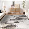 Image 1 : BRAND NEW SAFUNION AREA RUG ABSTRACT 6.5 X 8.2 FT