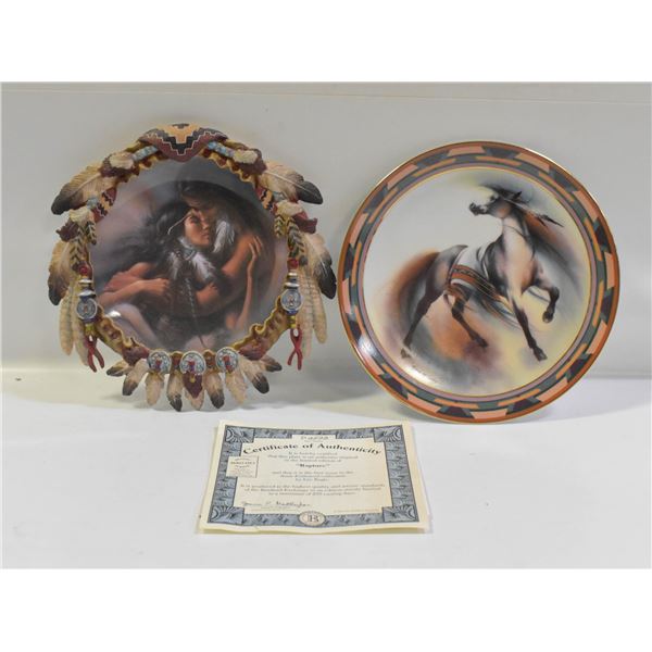 INDIGENOUS FEATHER ACCENTED FRAMED