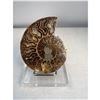 Image 1 : 3 inch Ammonite Fossil with Druze