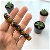Image 2 : Tiger Eye Bracelet 12mm
