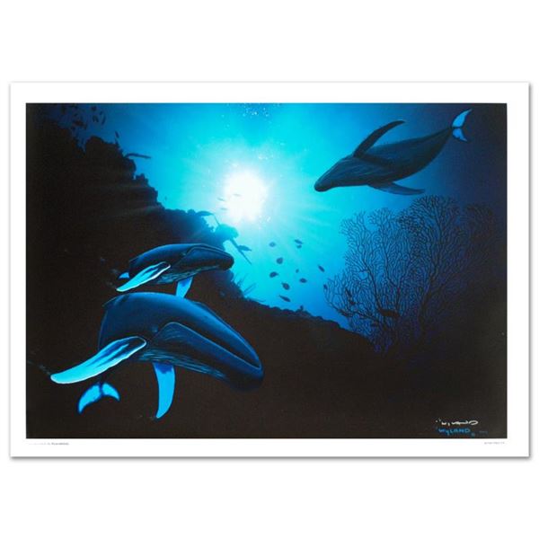Whale Vision by Wyland,