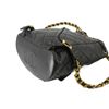 Image 5 : Chanel CC Duma Backpack