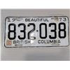 Image 4 : 1973 BRITISH COLUMBIA LICENSE PLATES