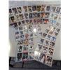 Image 1 : HOCKEY CARDS ( 81 total)