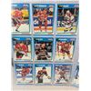 Image 8 : HOCKEY CARDS ( 81 total)