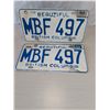 Image 1 : 1977 BRITISH COLUMBIA LICENSE PLATE ( Pair)