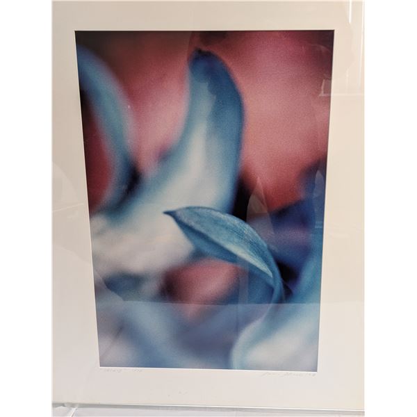 SAM SHORT CIBACHROME 1997 ORCHID PHOTO 1/10 PRINT.