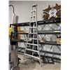 Image 1 : Orchard ladder