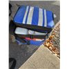 Image 1 : Cooler bag with ice packs