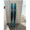 Image 1 : Connolly factor five water skis