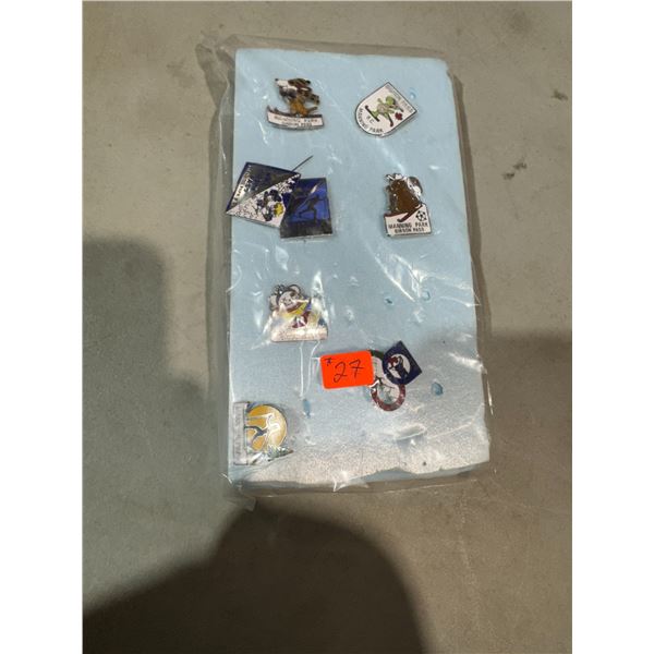 Manning Park collectible pins