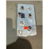 Image 1 : Manning Park collectible pins