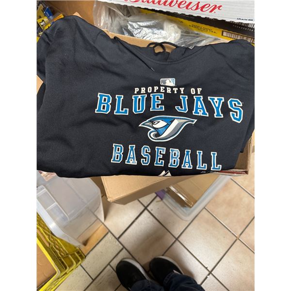 Blue Jays Large Hoodie