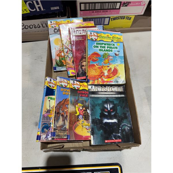 Assorted young adult books scholastic