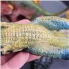 Image 10 : Mostly 80's & 90's Vintage Dinosaur Toys Med Size