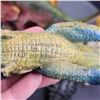 Image 11 : Mostly 80's & 90's Vintage Dinosaur Toys Med Size