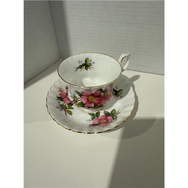 Royal Albert, Prairie, Rose, tea cup, and saucer