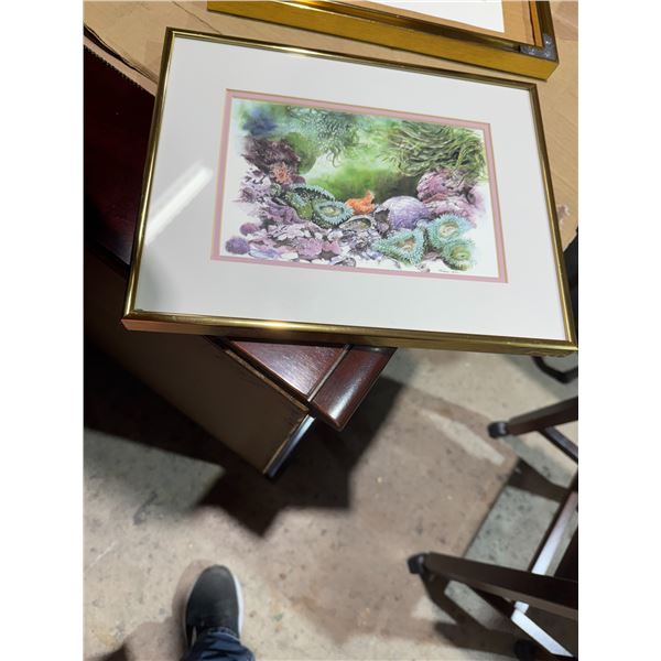 Tide pool mark HOBSON art