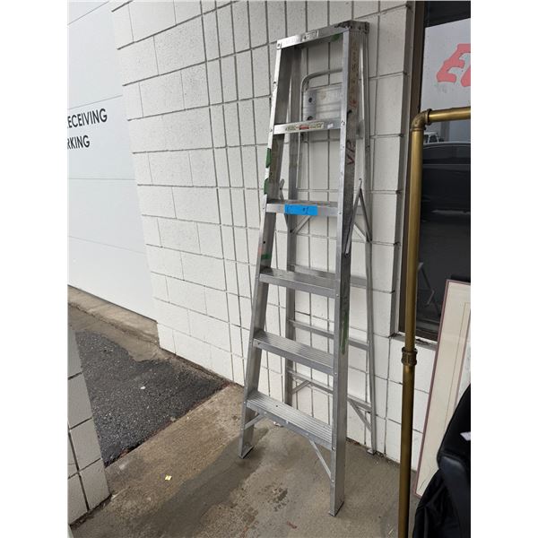 6 foot ladder