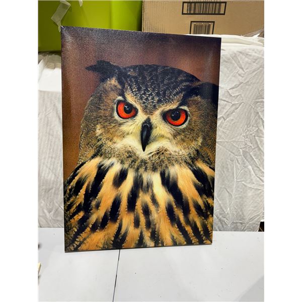 Owl canvas