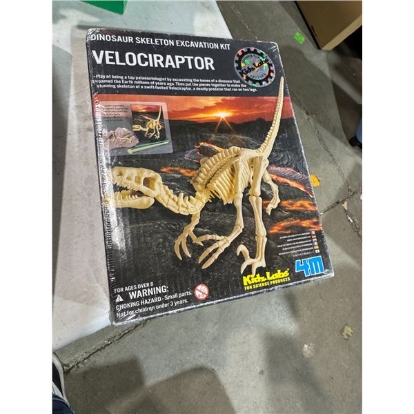 Velociraptor dinosaur skeleton excavation kit