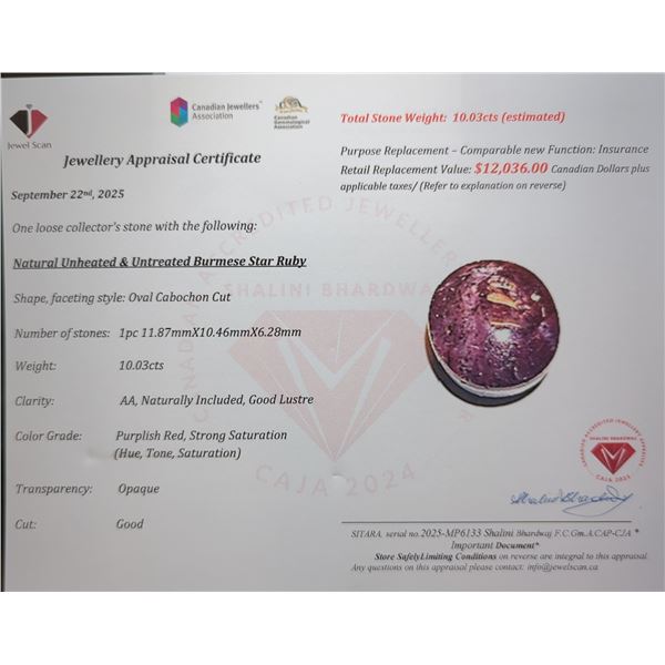 10.03 ct Certified Star Ruby gemstone ($12,036 Appraisal)