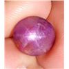Image 2 : 10.03 ct Certified Star Ruby gemstone ($12,036 Appraisal)
