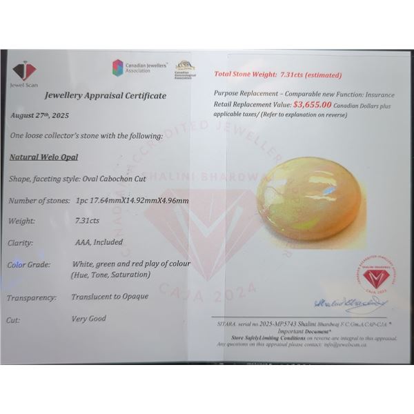 7.31 ct Certified Opal gemstone ($3,655 Appraisal)