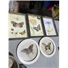 Image 1 : Butterfly decor
