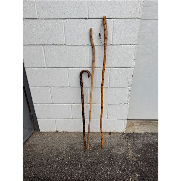 Walking sticks